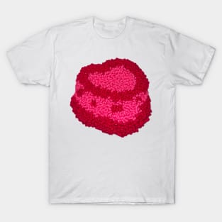 cake rug T-Shirt